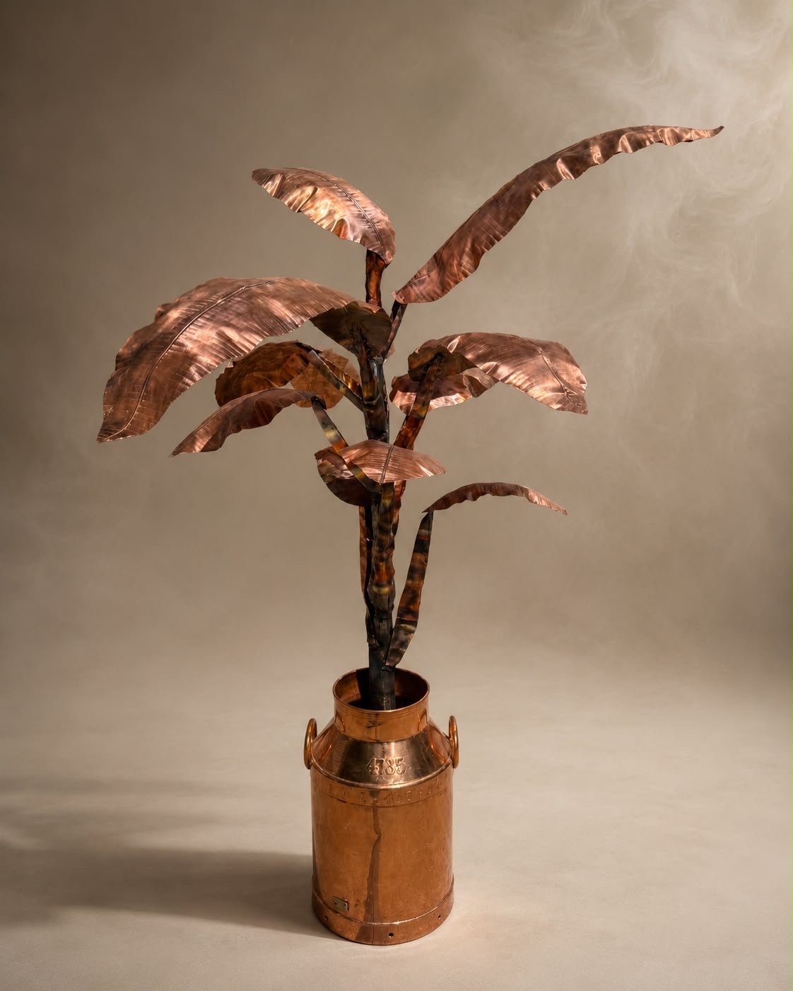 Musa Basjoo