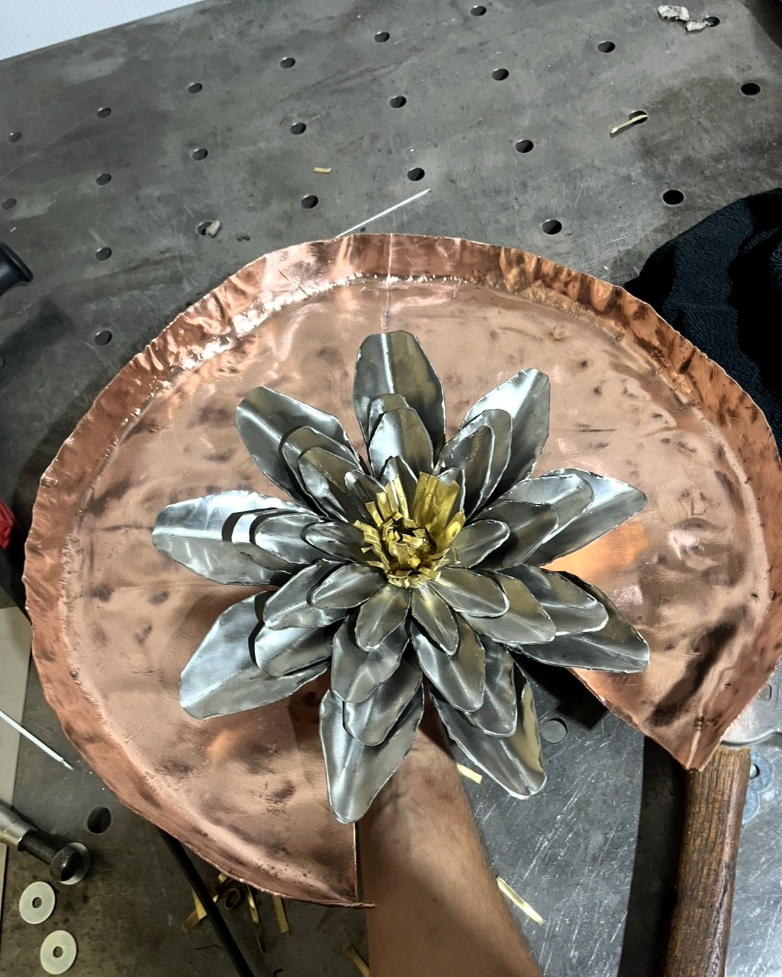 De eerste lelie op haar blad, het RVS nog blank.