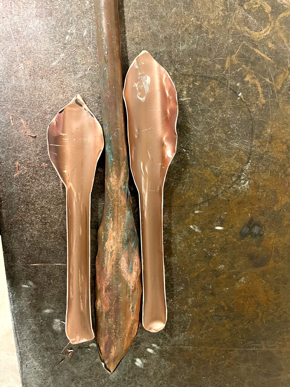 Uit koper groeien de bladeren.